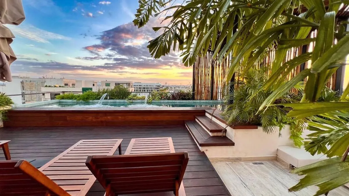 Luxurious Loft - Private Plunge Pool - Rooftop Playa del Carmen Apartment