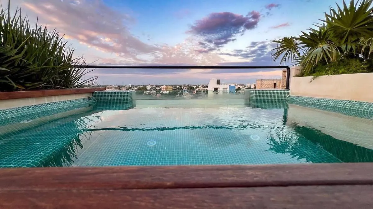 Luxurious Loft - Private Plunge Pool - Rooftop Playa del Carmen 0*,  Mexico